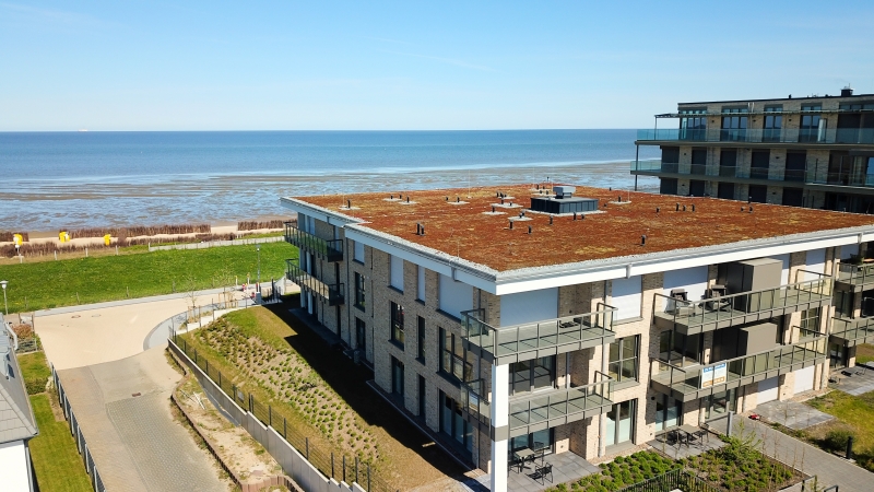 DJI_0276