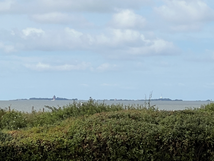 Blick vom Balkon